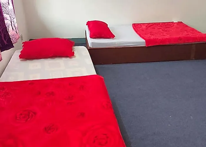 Budget Backpackers 3*