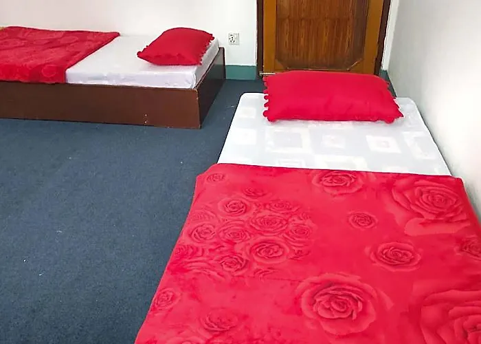Budget Backpackers 3*