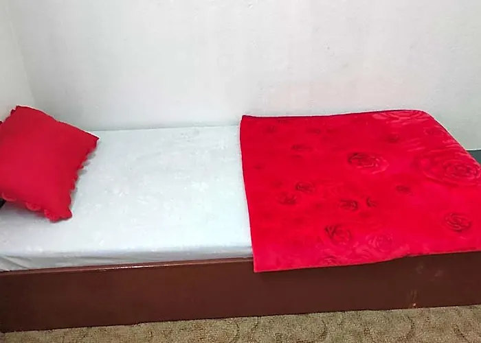 Budget Backpackers Hotel 3*
