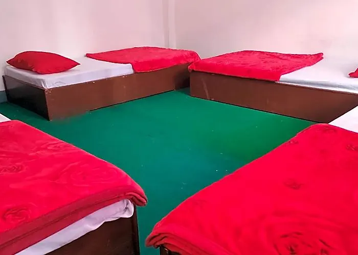 Budget Backpackers